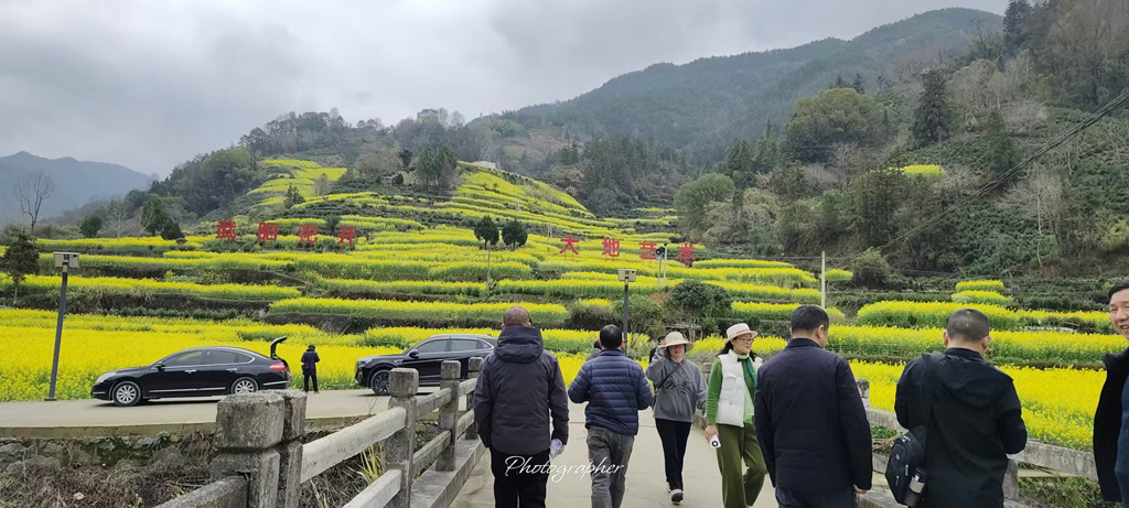 1774080257560855.jpg 20260321主题党日活动web1.jpg